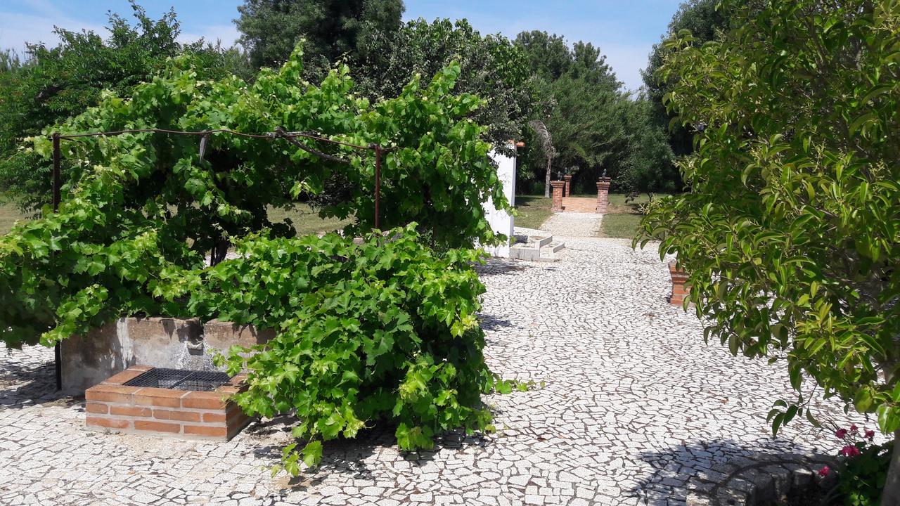 Vimieiro Quinta Da Abrunheiraアパートメント エクステリア 写真